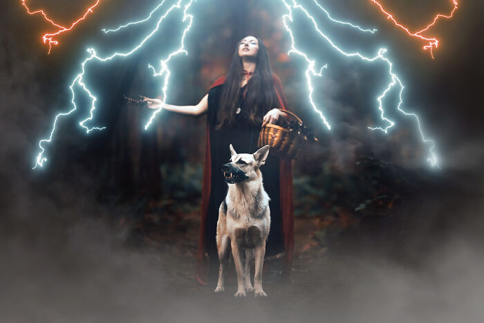 I Photographed A Fairytale-Inspired, Witchy Dog Session Inspired By Red Riding Hood (15 Pics)