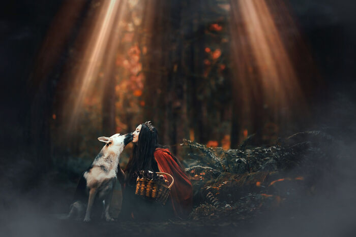 I Photographed A Fairytale-Inspired, Witchy Dog Session Inspired By Red Riding Hood (15 Pics)