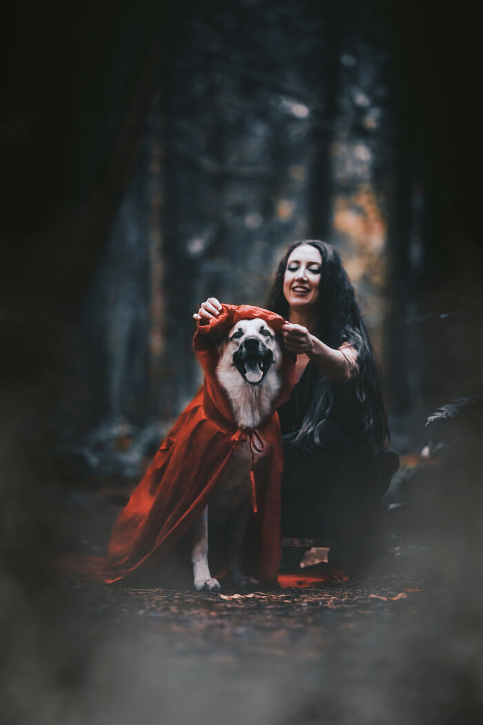 I Photographed A Fairytale-Inspired, Witchy Dog Session Inspired By Red Riding Hood (15 Pics)