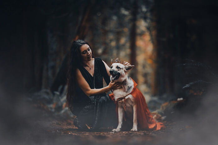 I Photographed A Fairytale-Inspired, Witchy Dog Session Inspired By Red Riding Hood (15 Pics)