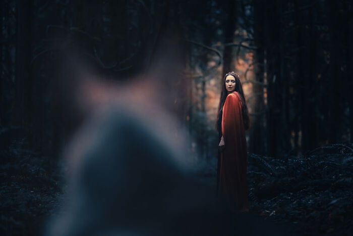 I Photographed A Fairytale-Inspired, Witchy Dog Session Inspired By Red Riding Hood (15 Pics)