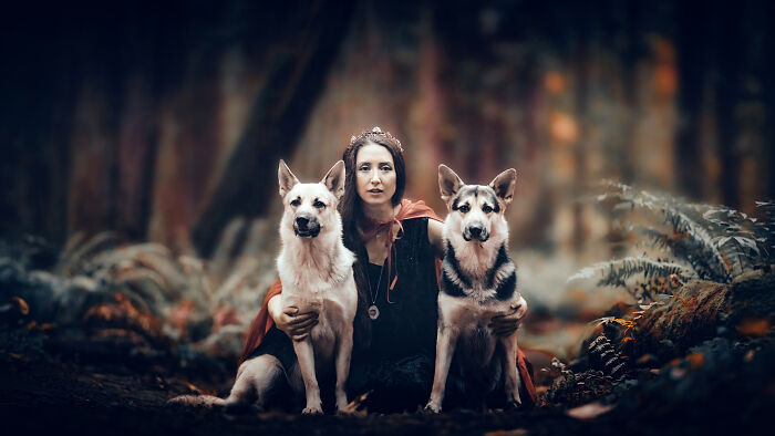 I Photographed A Fairytale-Inspired, Witchy Dog Session Inspired By Red Riding Hood (15 Pics)