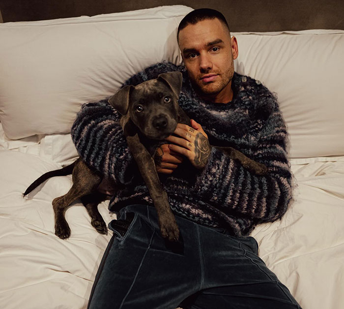 Man in cozy sweater sitting on a bed holding a dog, illustrating emotional moments and connection.