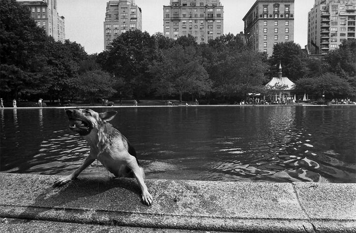 International Photographer Of The Year: Steven Benson - Resonance