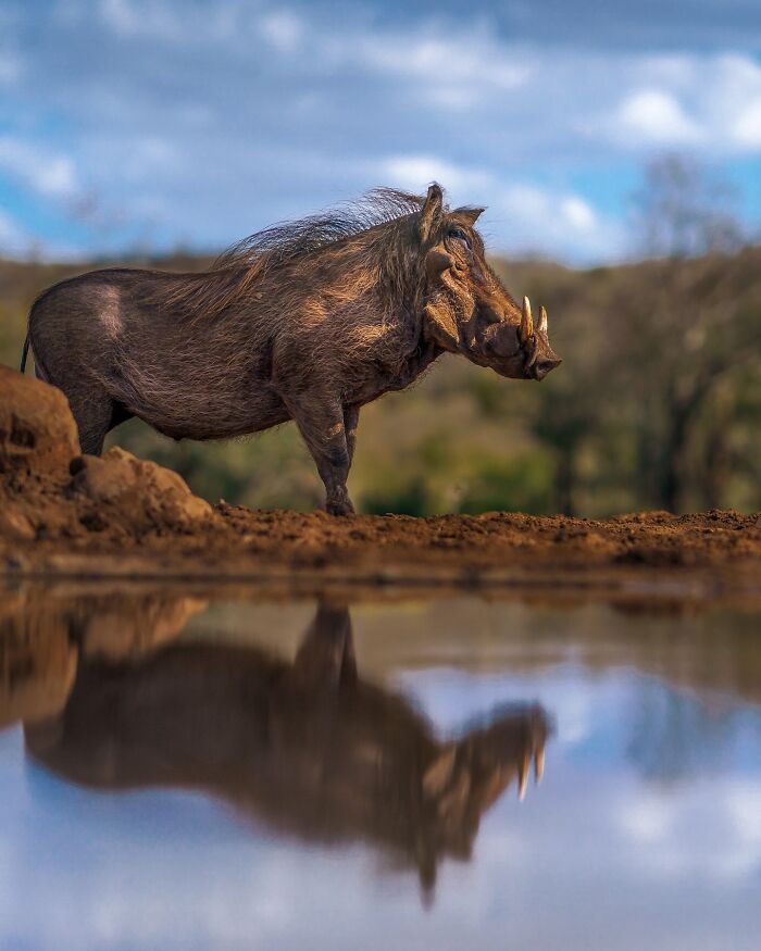 Meet Varun Aditya's Wildlife Photography