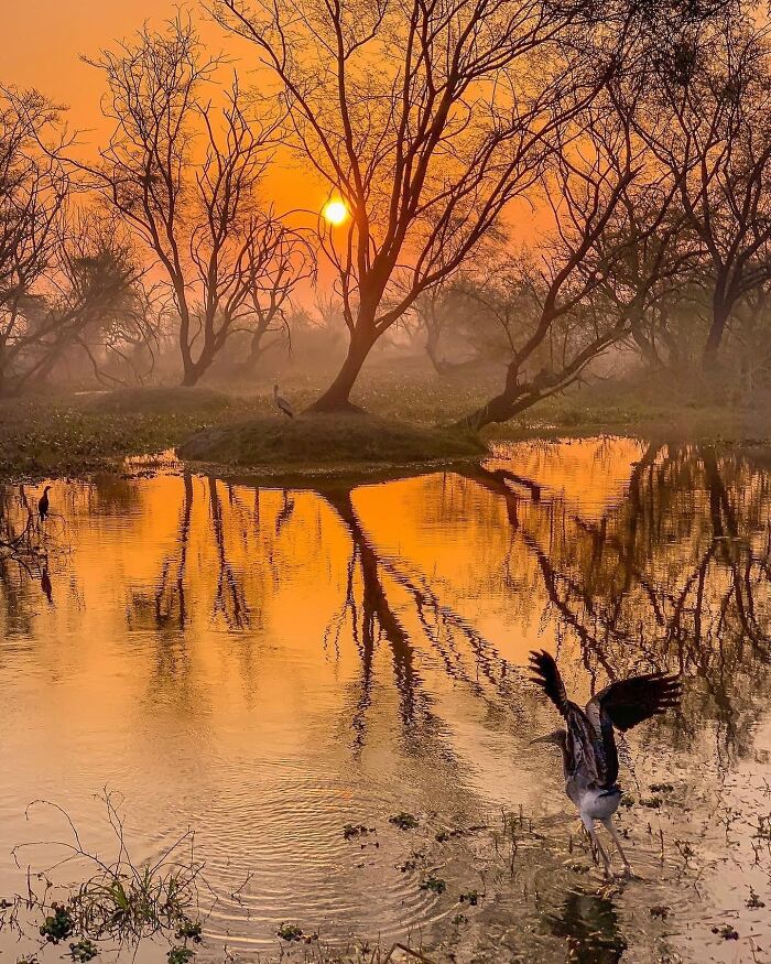 Meet Varun Aditya's Wildlife Photography