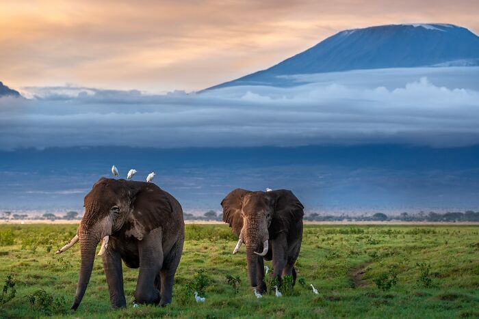 Meet Varun Aditya's Wildlife Photography