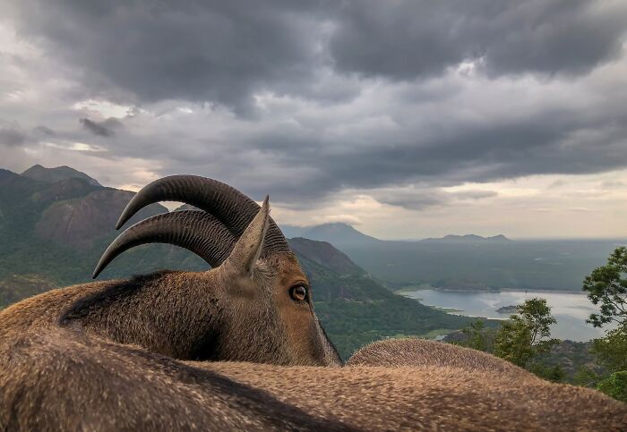 Meet Varun Aditya's Wildlife Photography