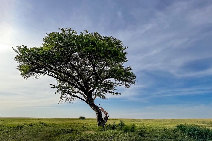 Meet Varun Aditya's Wildlife Photography