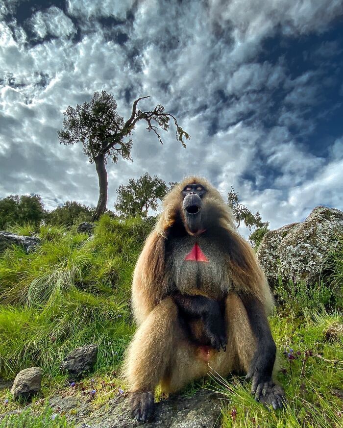 Meet Varun Aditya's Wildlife Photography