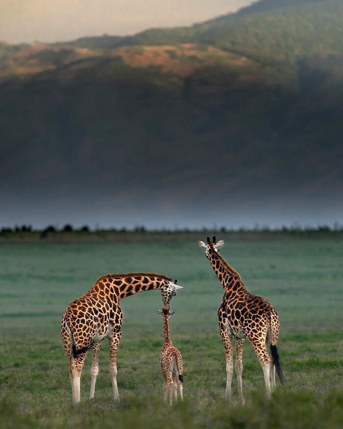 Meet Varun Aditya's Wildlife Photography