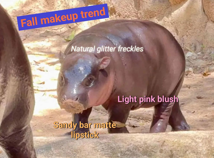 A Moo Deng meme showing a baby hippo labeled as a "Fall makeup trend" with captions like "Natural glitter freckles" and "Sandy bar matte lipstick."