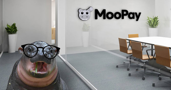 A Moo Deng meme featuring a baby hippo wearing glasses in a modern office setting with a sign reading "MooPay" on the conference room wall.