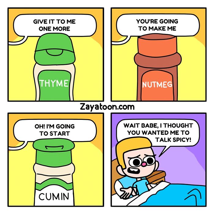 Funny comic with spice bottles talking humorously; the punchline involves spicy conversation.