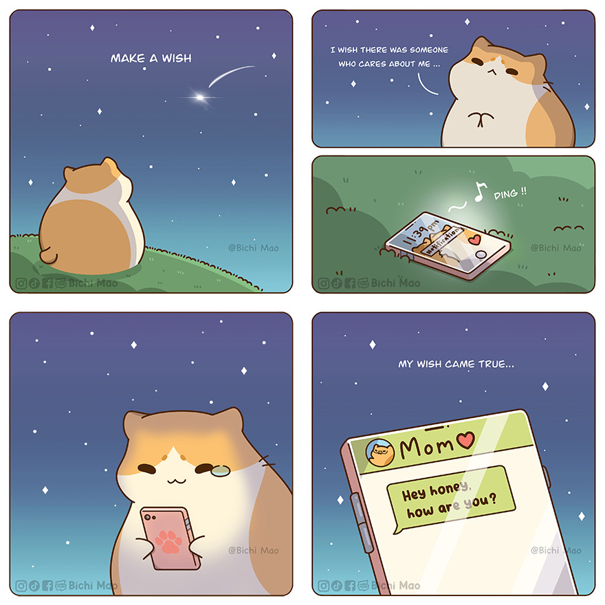 New Wholesome Comics By Olive Yong Showing The Sweet And Naughty Side Of Chubby Cats