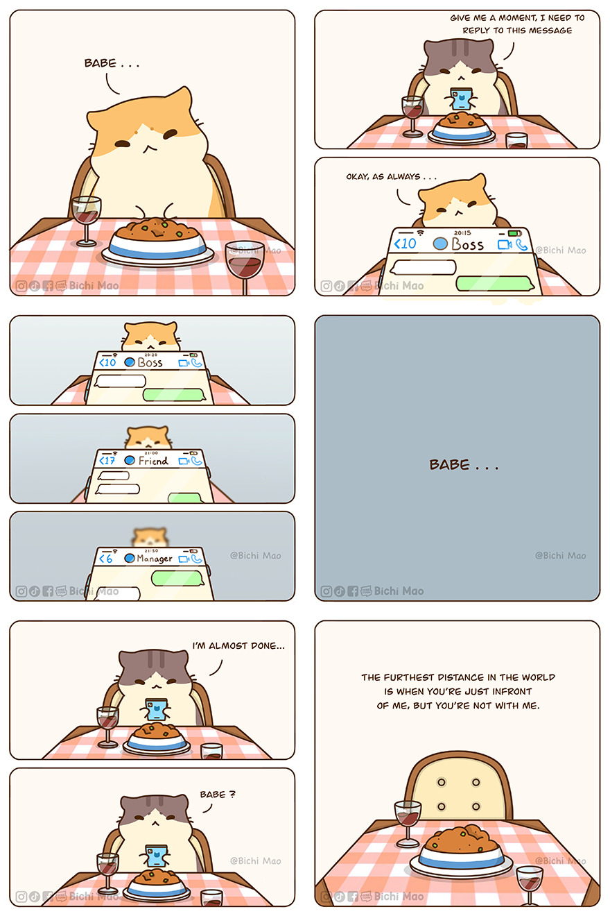 New Wholesome Comics By Olive Yong Showing The Sweet And Naughty Side Of Chubby Cats