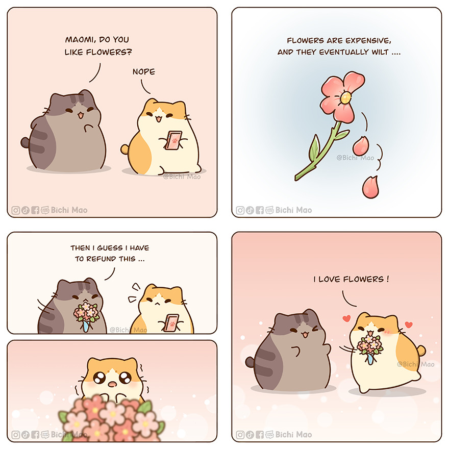 New Wholesome Comics By Olive Yong Showing The Sweet And Naughty Side Of Chubby Cats