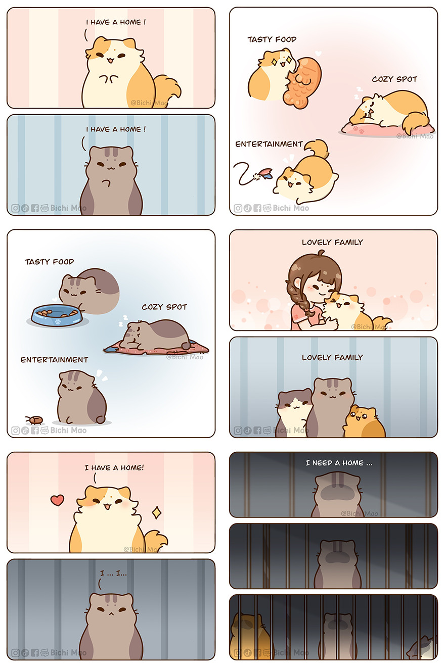 New Wholesome Comics By Olive Yong Showing The Sweet And Naughty Side Of Chubby Cats