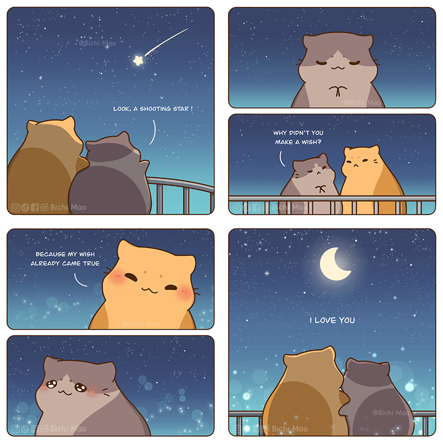 New Wholesome Comics By Olive Yong Showing The Sweet And Naughty Side Of Chubby Cats