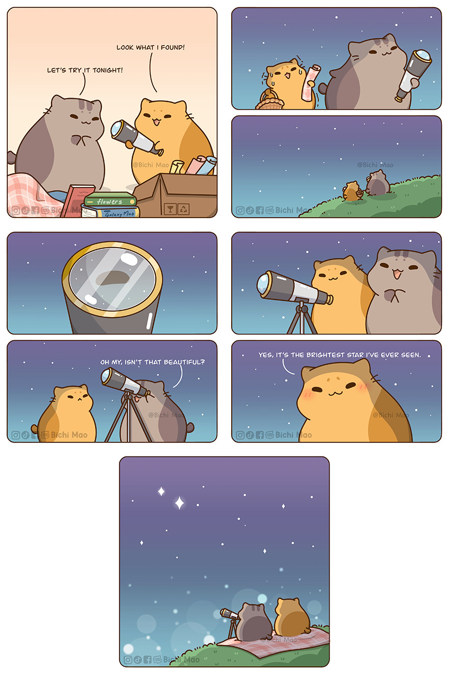 New Wholesome Comics By Olive Yong Showing The Sweet And Naughty Side Of Chubby Cats