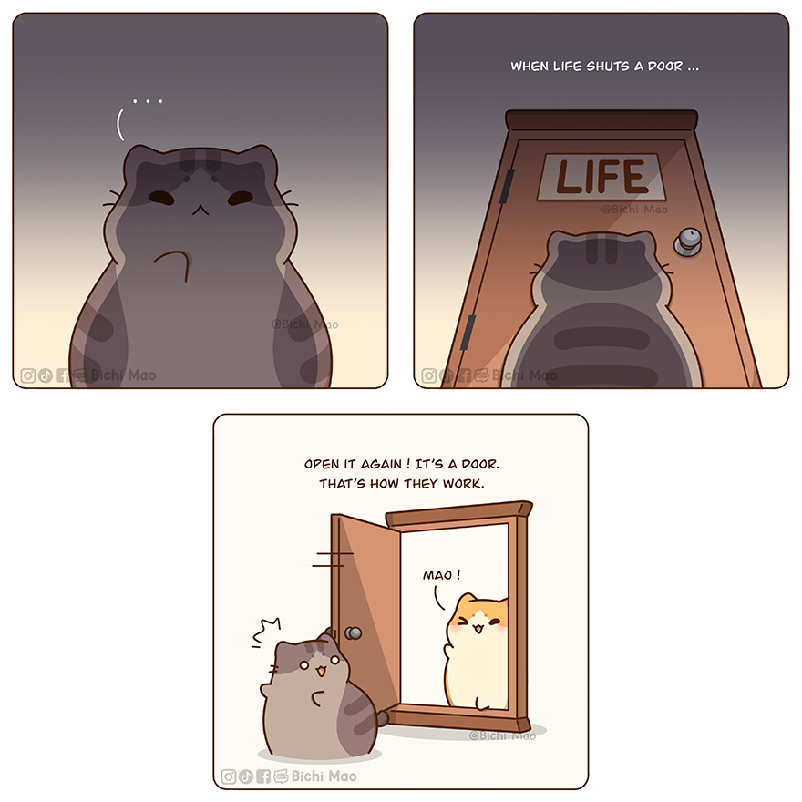 New Wholesome Comics By Olive Yong Showing The Sweet And Naughty Side Of Chubby Cats