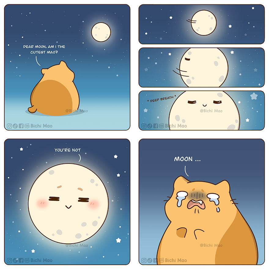 New Wholesome Comics By Olive Yong Showing The Sweet And Naughty Side Of Chubby Cats