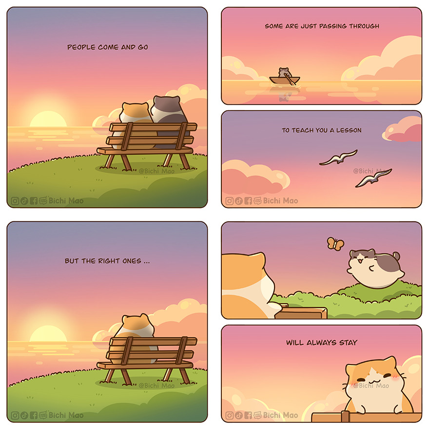 New Wholesome Comics By Olive Yong Showing The Sweet And Naughty Side Of Chubby Cats