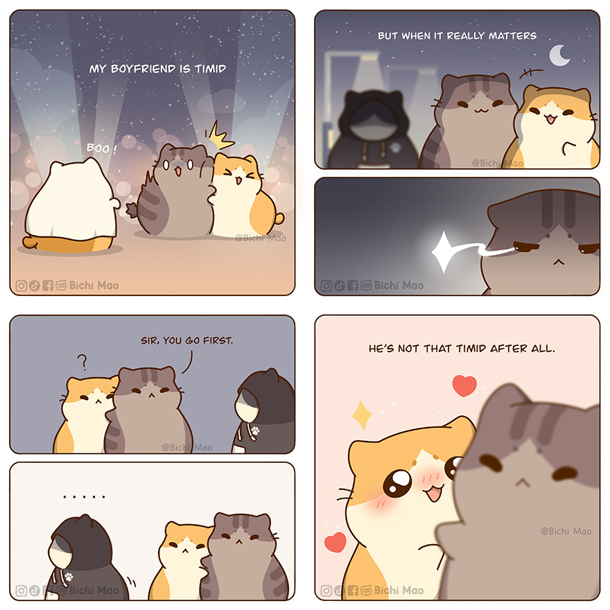 New Wholesome Comics By Olive Yong Showing The Sweet And Naughty Side Of Chubby Cats