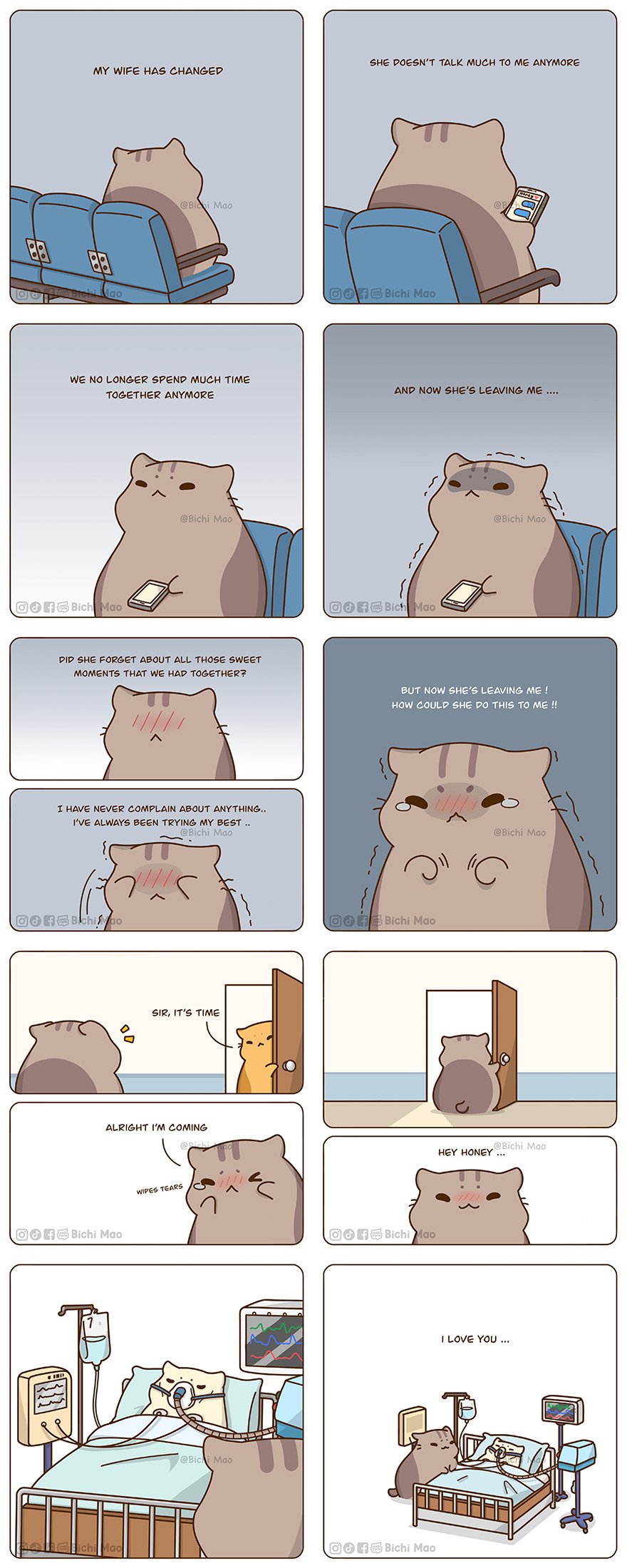 New Wholesome Comics By Olive Yong Showing The Sweet And Naughty Side Of Chubby Cats