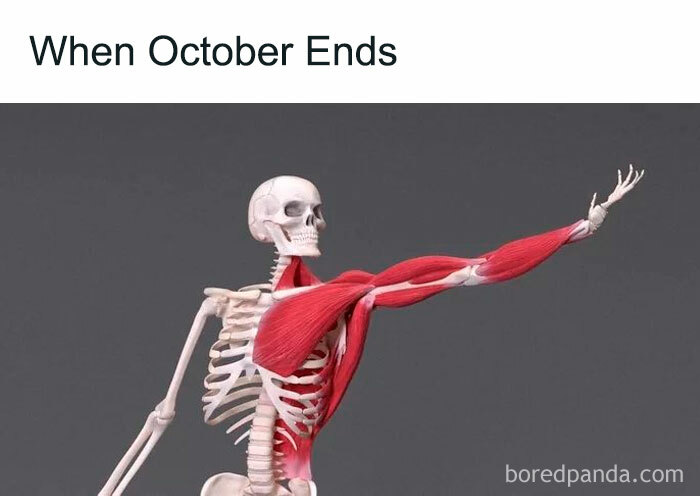 Skeleton with exposed muscles pointing dramatically, captioned "When October Ends," fits November memes theme.