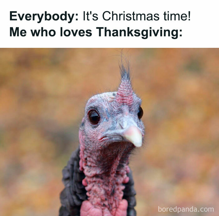 Turkey looking unimpressed with Thanksgiving vs. Christmas debate in a November meme.