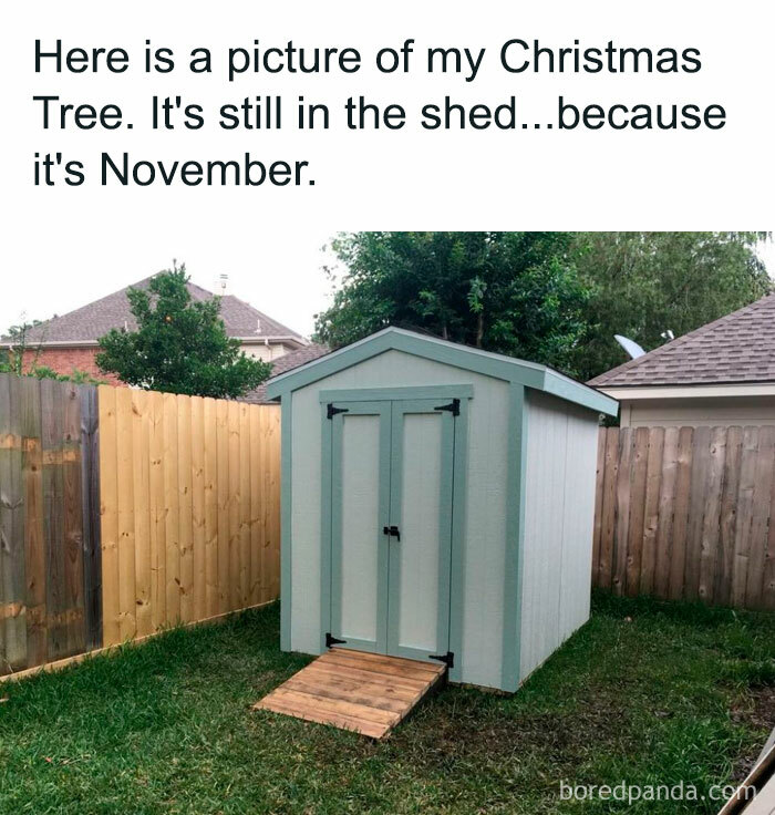 A November meme with a Christmas tree in shed, untouched.