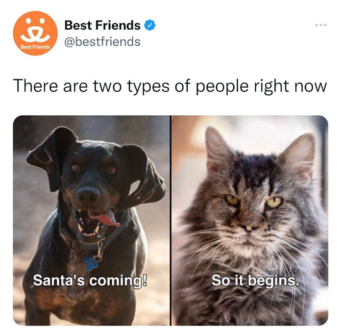 Dog excited for winter vs cat dreading it; embodies November memes theme.