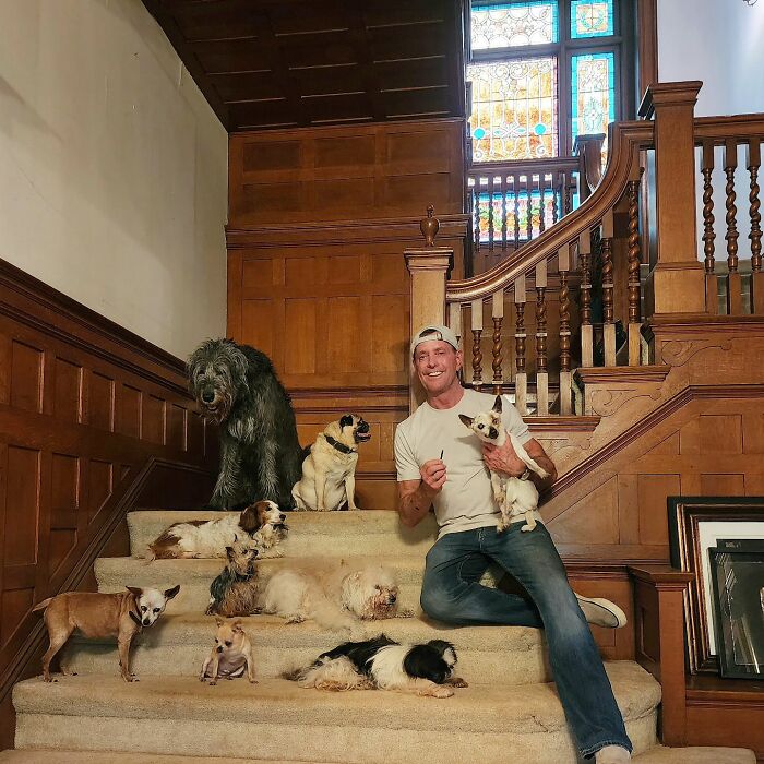 Retiree Devotes His Life To Caring For Senior Dogs In Need Of A Loving Home