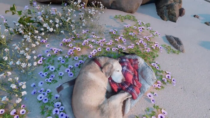 This Man Found A Beautiful Way To Relive The Final Memory With His Dog Who Passed Away