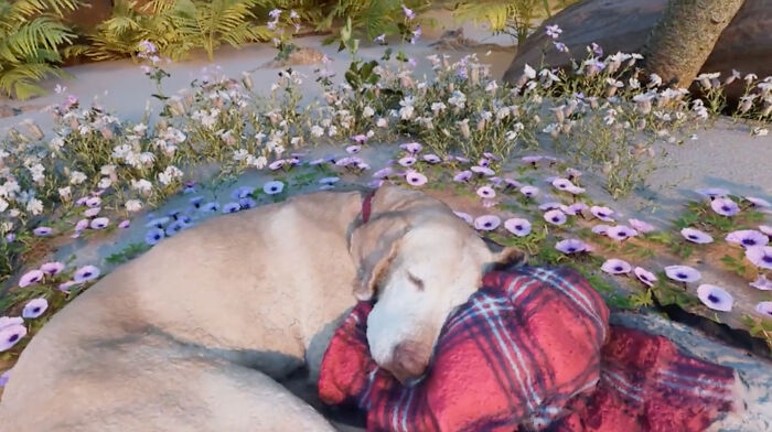 This Man Found A Beautiful Way To Relive The Final Memory With His Dog Who Passed Away