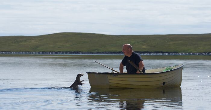 A Heart-Warming Story Of Rare Friendship Between A Wild Otter And A Man From Remote Scottish Islands