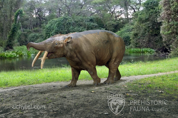 Granastrapotherium