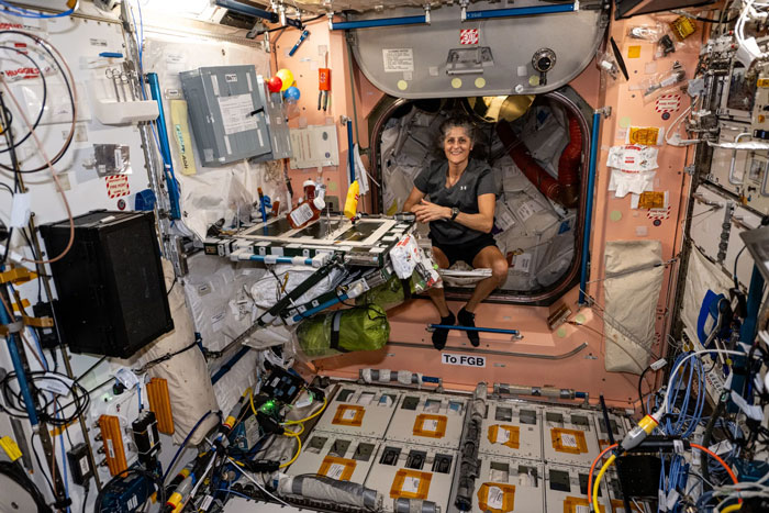 Stranded Astronaut Finally Breaks Silence On Health Scare After Her "Gaunt" Photo Goes Viral