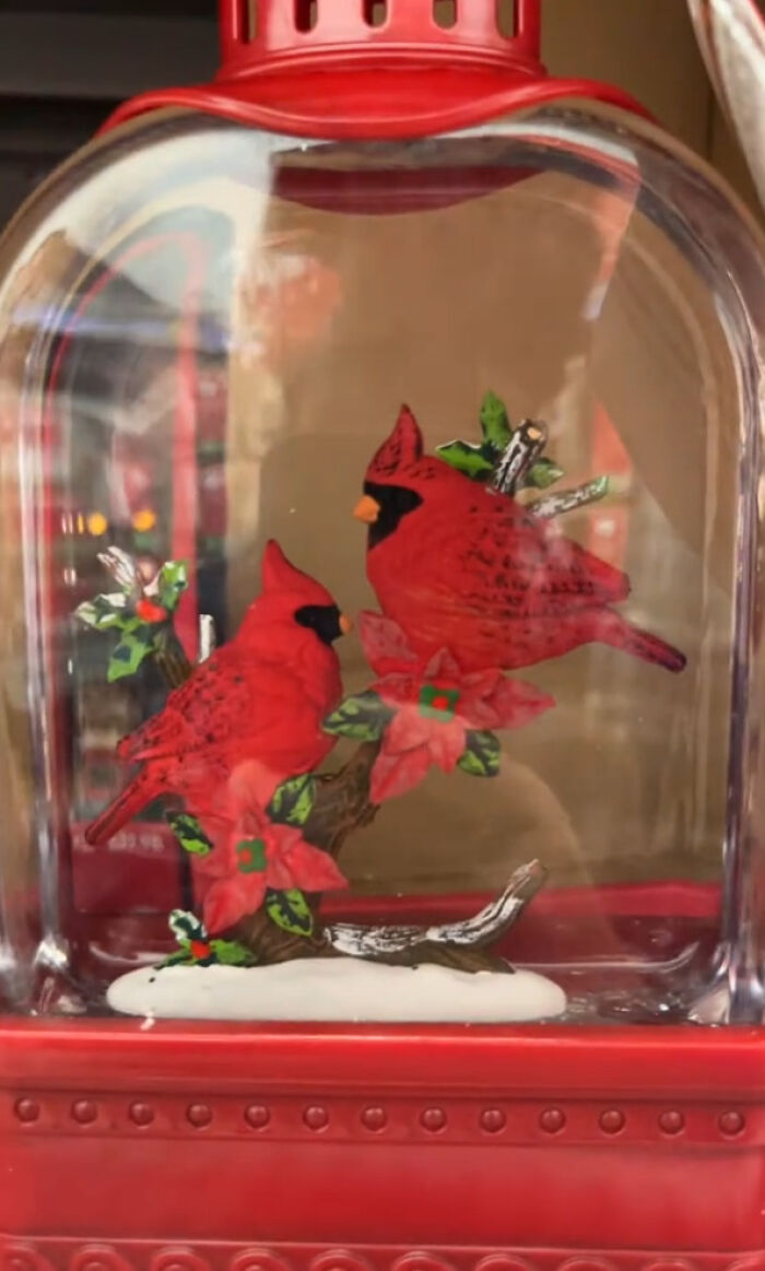 Walmart’s “Gay” Christmas Birds Spark Frenzy: “Don’t Think [They] Did Their Research”