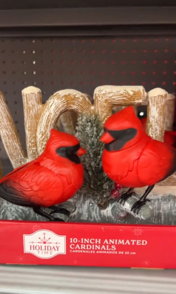 Walmart’s “Gay” Christmas Birds Spark Frenzy: “Don’t Think [They] Did Their Research”