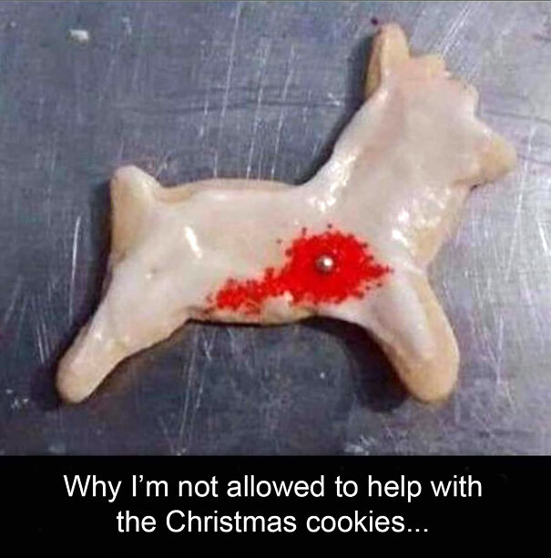 Why-Im-Not-Allowed-To-Help-With-The-Christmas-Cookies-6746a5da18ca7-png.jpg