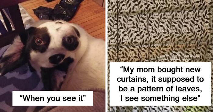 95 Puzzling Pics That Need To Be Looked At Twice To Understand What’s Happening