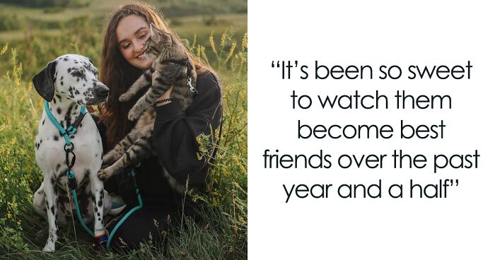 Woman Let Her Dalmatian Keep A Foster Kitten And It Resulted In The Most Beautiful Friendship