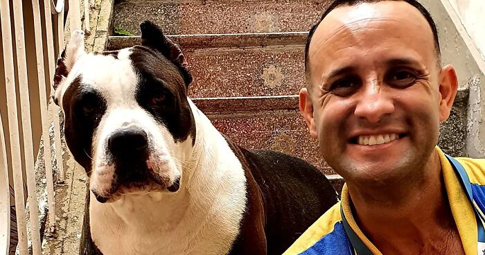 Breaking Stereotypes: 44 Selfies This Mailman Took With All The Animals He Befriended On His Route (New Pics)