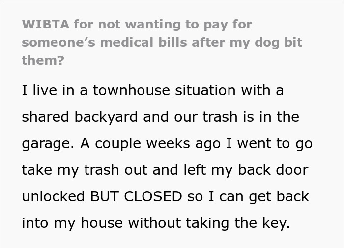 “WIBTA For Not Wanting To Pay For Someone’s Medical Bills After My Dog Bit Them?”