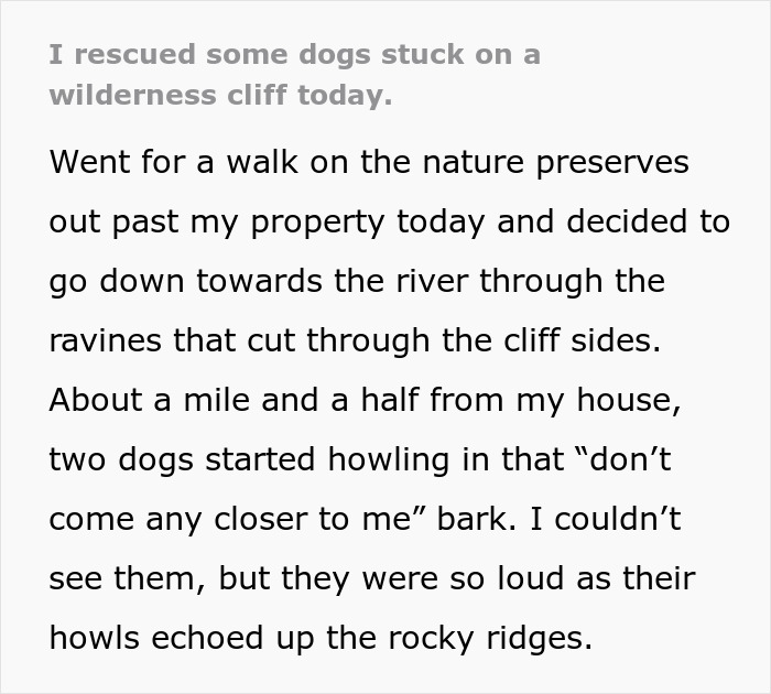 Man Goes For A Walk In The Forest, Returns With A Couple Of Beagles He Found Stuck On A Cliff