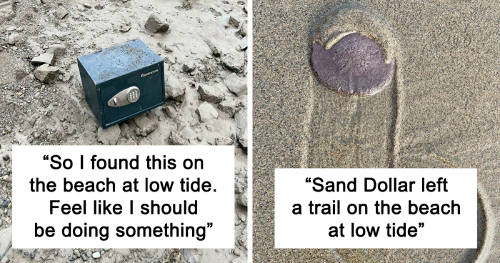 111 Times People Found Things At The Beach They Didn't Expect To See There (New Pics)