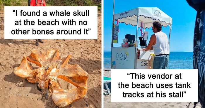 111 Times People Found Unexpected Treasures While Enjoying A Day At The Beach (New Pics)