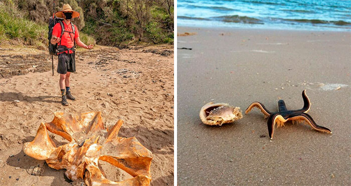 50 Times People Found Quirky Treasures Washed Ashore (New Pics)